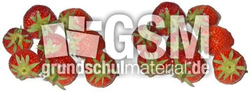 Erdbeeren8+8.jpg